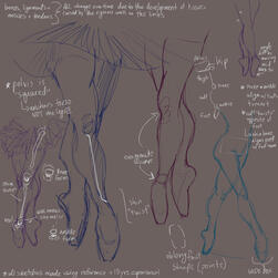 ballerina anatomy (study) ballerina anatomy (study)