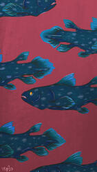 coelacanth phone wallpaper coelacanth phone wallpaper