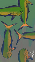 mahi mahi phone wallpaper mahi mahi phone wallpaper
