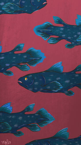coelacanth phone wallpaper
