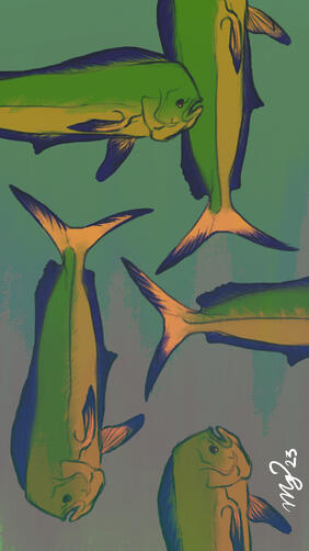 mahi mahi phone wallpaper